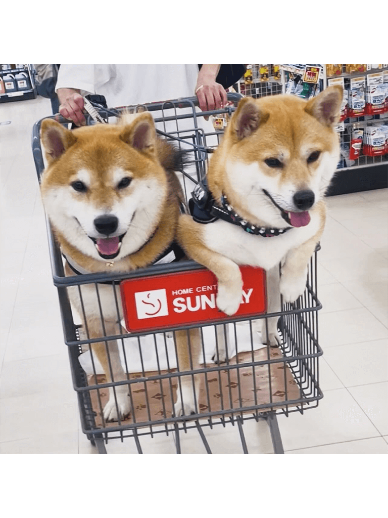 優秀賞 写真02