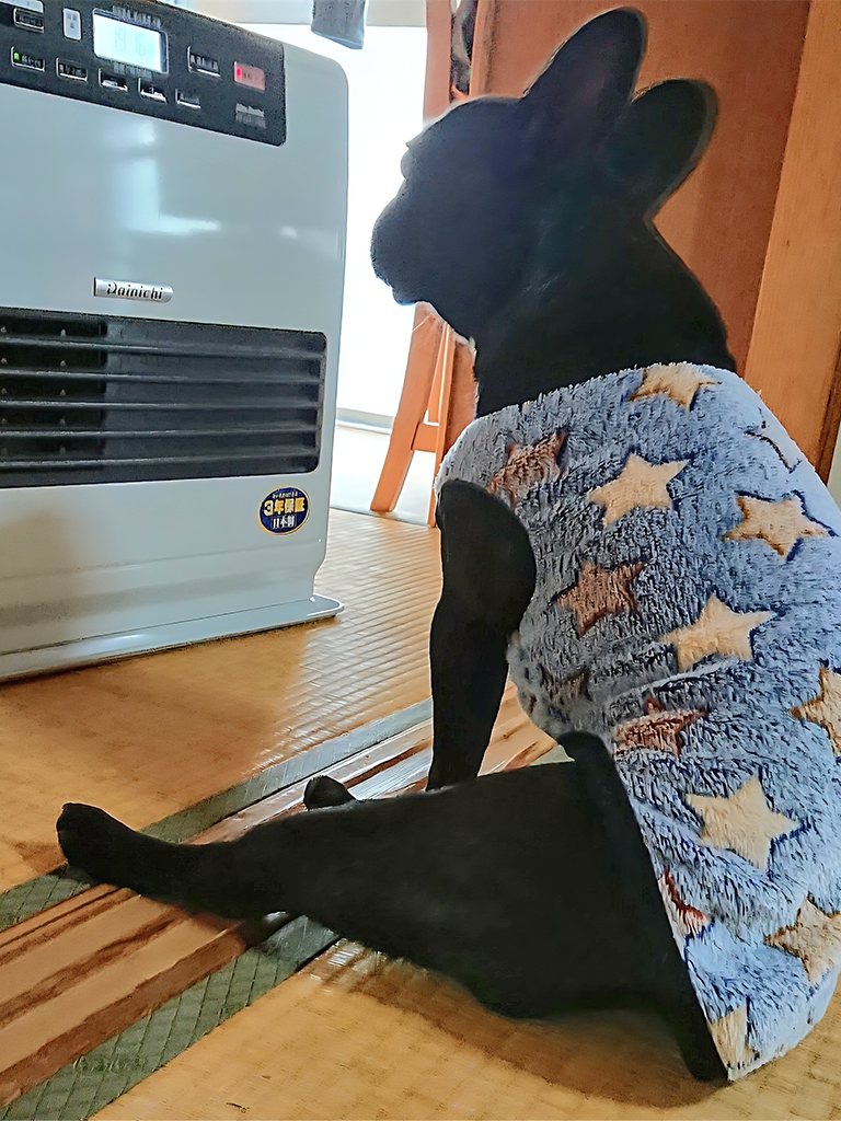 サンデー大賞 写真