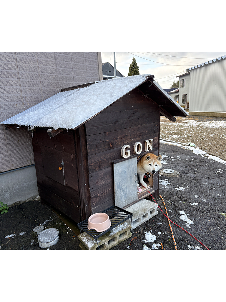 特別賞 DIY工作賞 写真