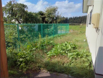 作業例2 建物外周 作業前