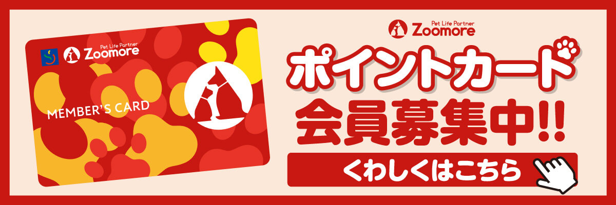 Zoomoreポイントカード会員募集中!! くわしくはこちら