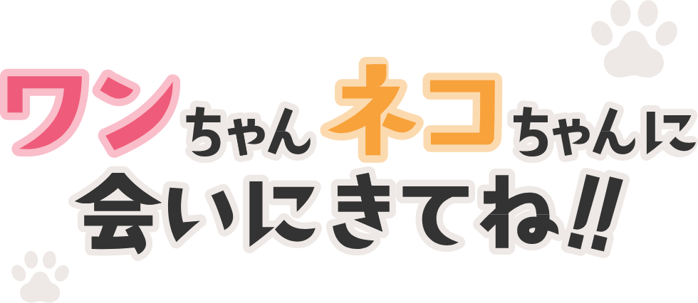 ワンちゃんネコちゃんに会いにきてね!!