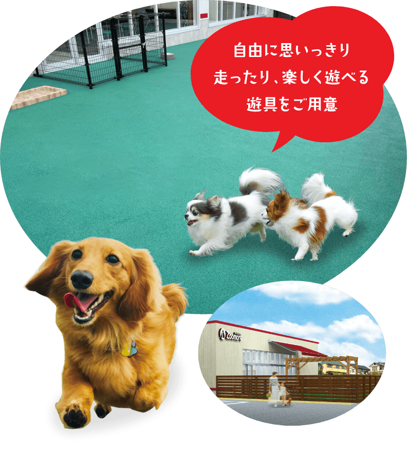 自由に思いっきり走ったり、楽しく遊べる遊具をご用意